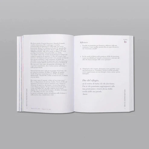 Un Meraviglioso Anno nello Studio della Bibbia