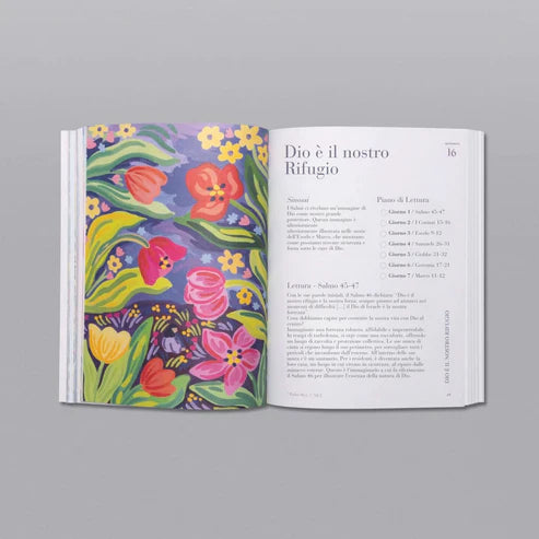 Un Meraviglioso Anno nello Studio della Bibbia